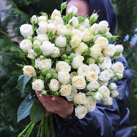 15 кустовых роз Беларусь под ленту - изображение 2