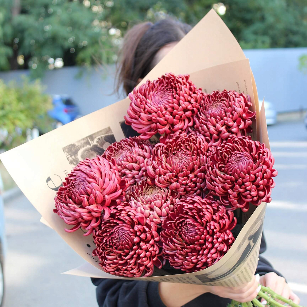 Хризантема Бигуди одноголовая