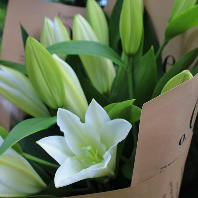 Цветы на праздник: Букет из 5 веток белой лилии