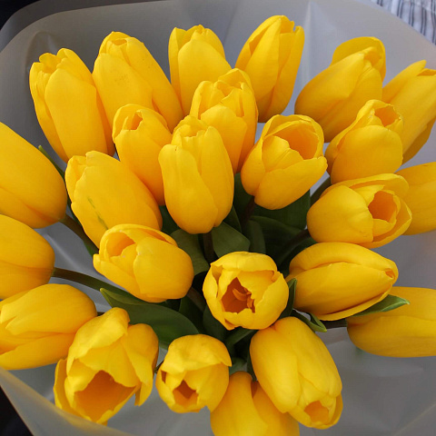 Зимние букеты  цветов с доставкой: Букет из 25 желтых тюльпанов