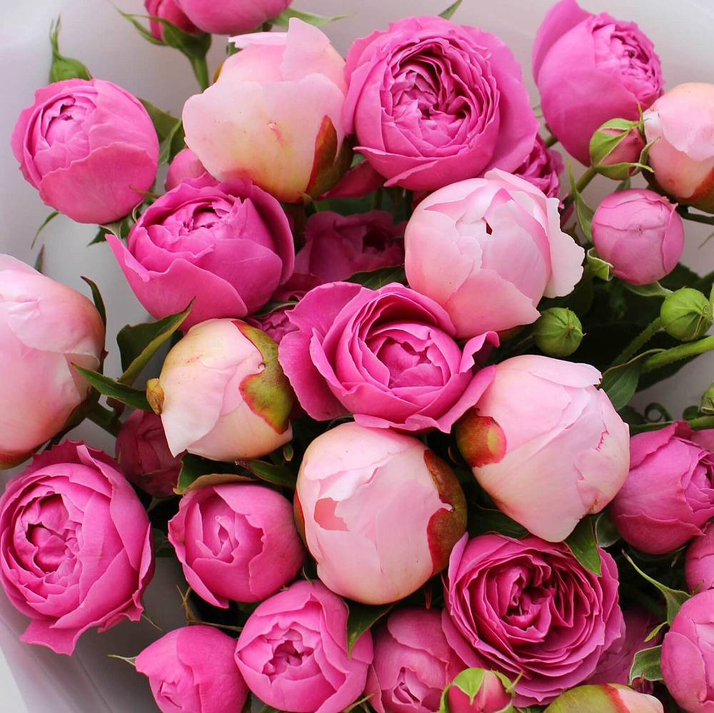 Букет с пионами и кустовой розой Expression