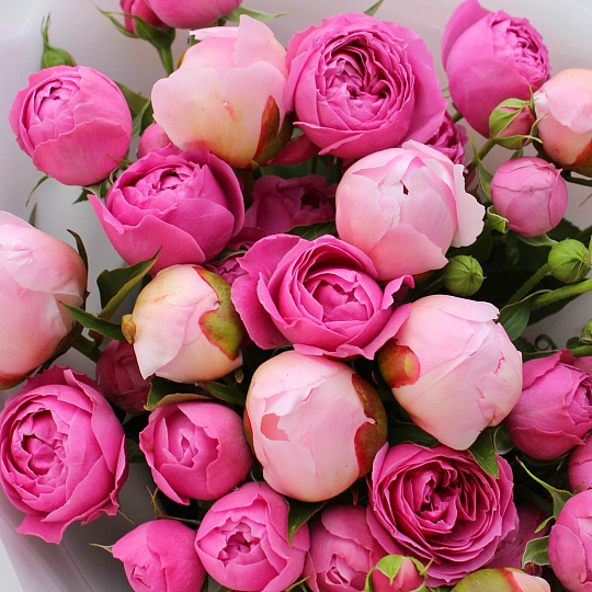 Цветы на 14 февраля: Букет с пионами и кустовой розой Expression