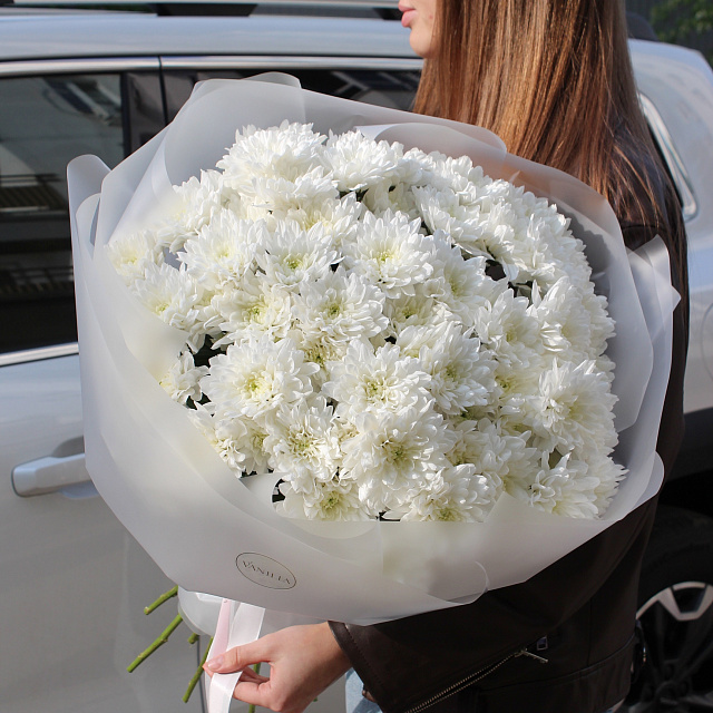 Цветы: Букет из 11 белых хризантем Балтика