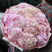 Букет из гортензии "Pink"