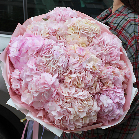 Букет из гортензии "Pink"
