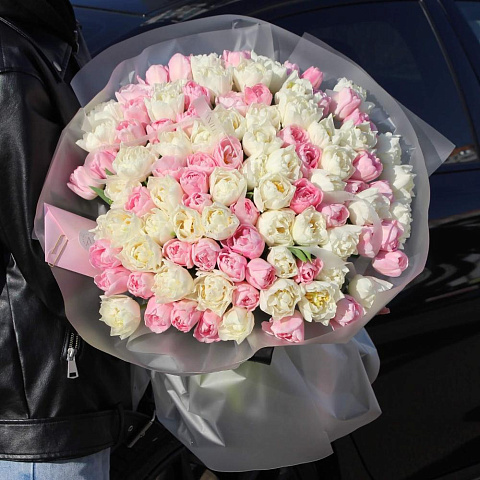 101 пионовидный тюльпан микс «Dream» - изображение 2