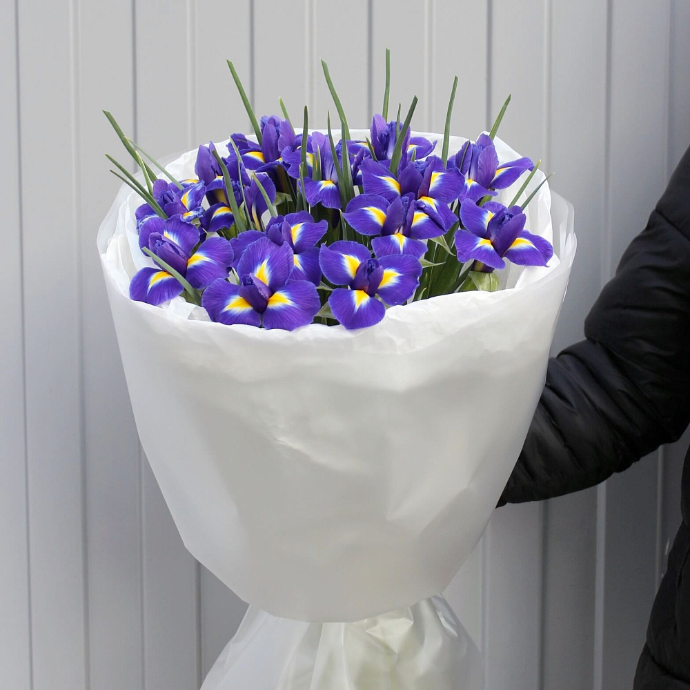 Букет из 15 синих ирисов