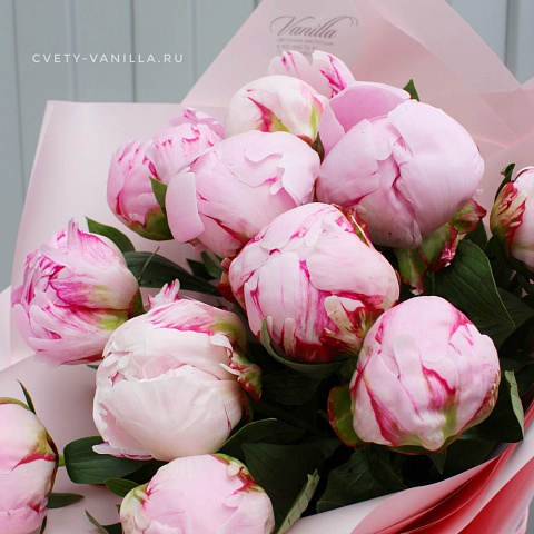 Букеты пионов: Букет 11 розовых пионов