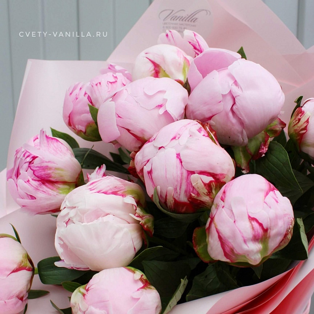 Цветы: Букет 11 розовых пионов
