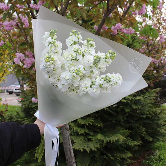 Букет из белой матиолы в оформлении - изображение 2