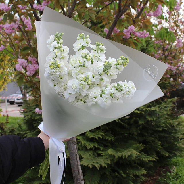 Букет из белой матиолы в оформлении - изображение 2