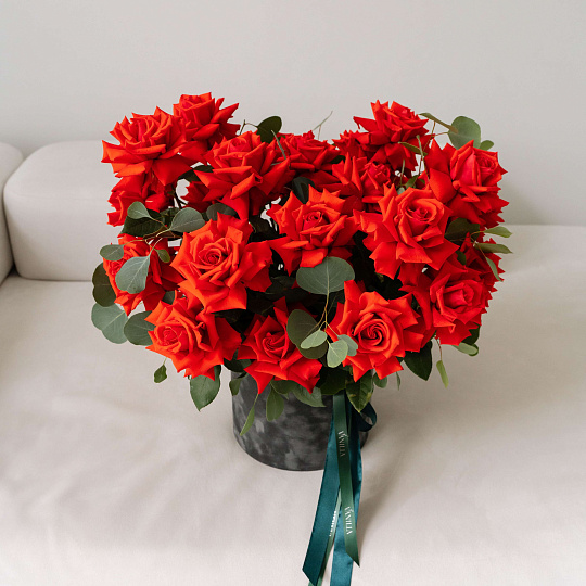 цилиндр бордо