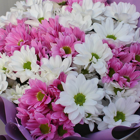 Разноцветные букеты: 9 веток ромашковой хризантемы