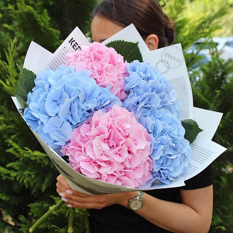 Букет из 5 гортензий микс - изображение 2