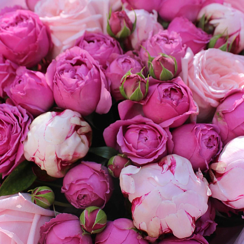 Миксбукеты  цветов с доставкой: Букет «Дабл Пинк»