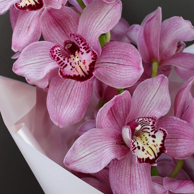 Цветы на праздник: Букет из орхидеи Цимбидиум