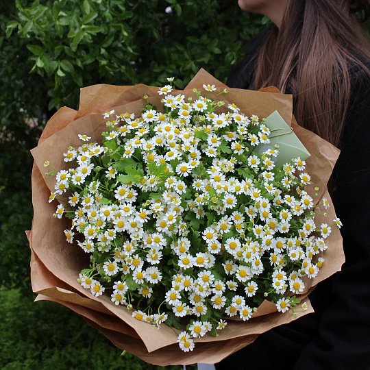 Букет ромашек в крафте - изображение 2