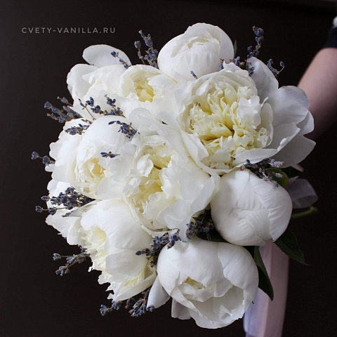 Букеты пионов: Букет из 11 белых пионов и лаванды