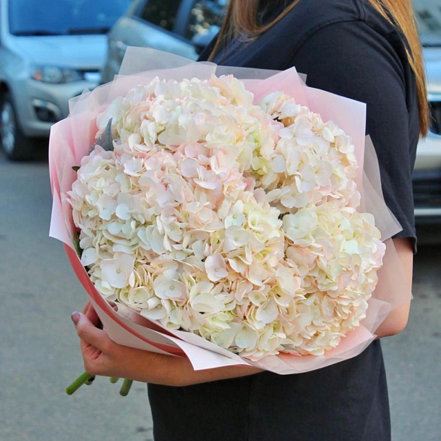 Букет из розовых гортензий 'Нежность' - изображение 2