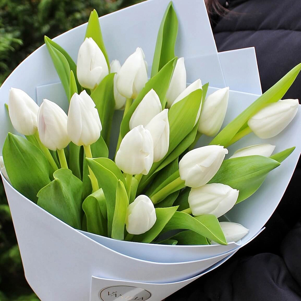 Букет из 19 белых тюльпанов в нежном оформлении