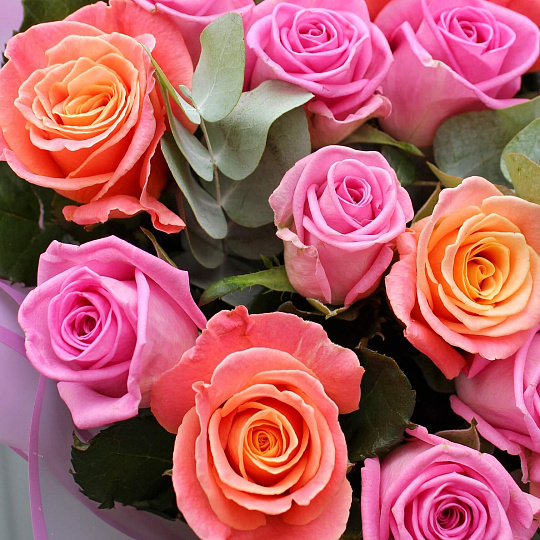 Букет из роз 60 см: Букет из 17 роз микс 60 см