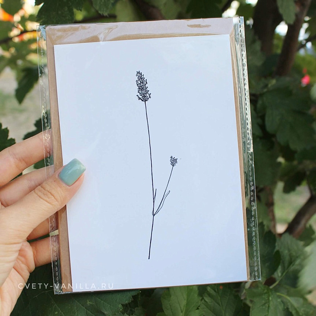Открытка универсальная "Веточка лаванды" - изображение 2