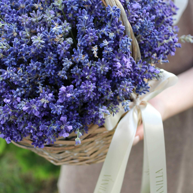 Необычные букеты: Корзина со свежей лавандой "Provans"