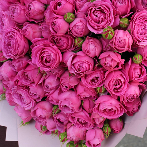 29 роз: 29 веток кустовой пионовидной розы