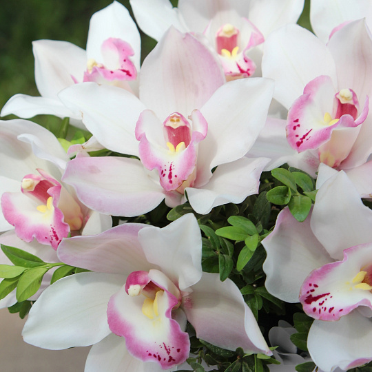 Настольные композиции из цветов: цилиндр с нежной орхидеей