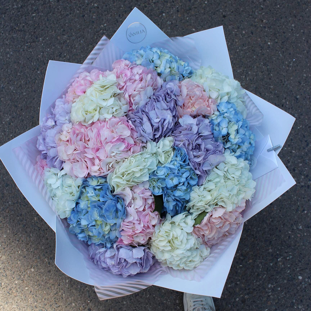 Микс из гортензий разноцветных