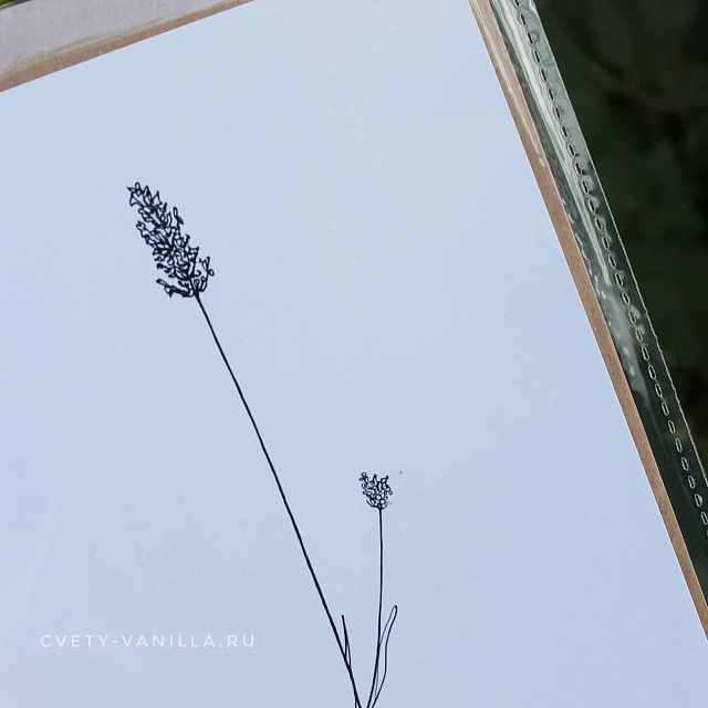 Подарки на 14 февраля: Открытка универсальная "Веточка лаванды"