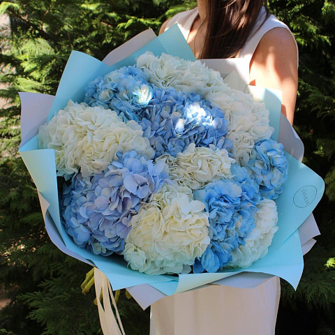 Букет из 11 гортензий в бело-голубой гамме - изображение 2