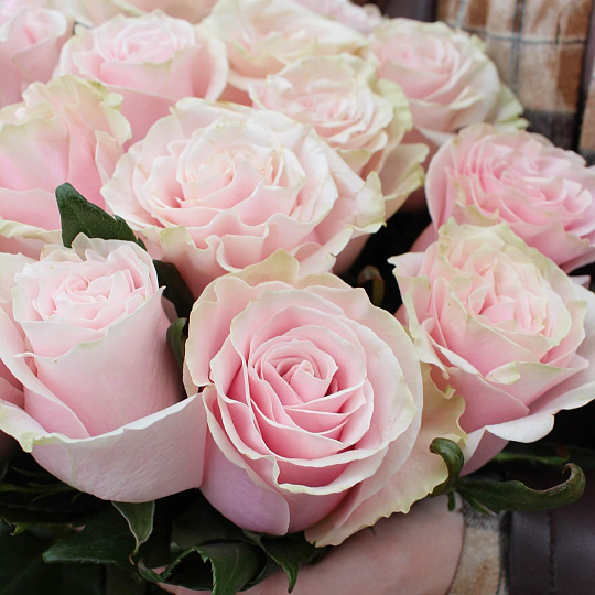 Цветы на 14 февраля: Букет из 15 роз Pink Mondial 70 см