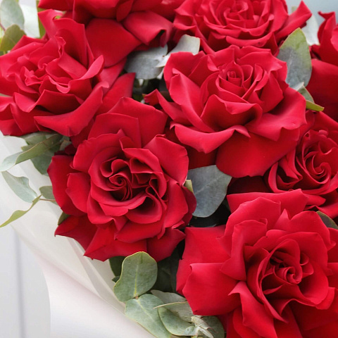 Букет красных роз: Букет 9 голландских роз с эвкалиптом