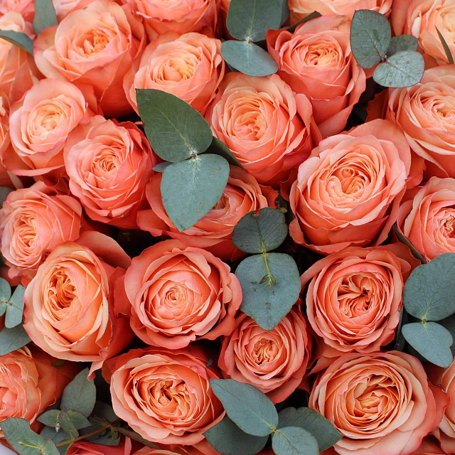 Бизнес букеты: Букет из пионовидных роз Кахала