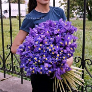 Букет из 101 ириса