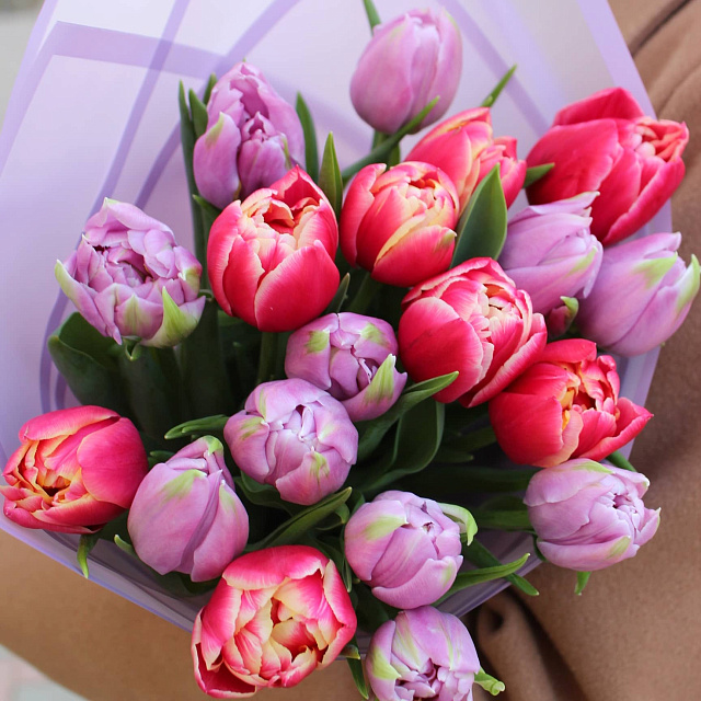 Цветы: Букет из 19 пионовидных тюльпанов микс