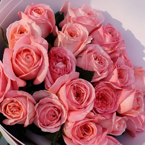 Розовые розы: Букет из роз Лондон Ай 21 шт