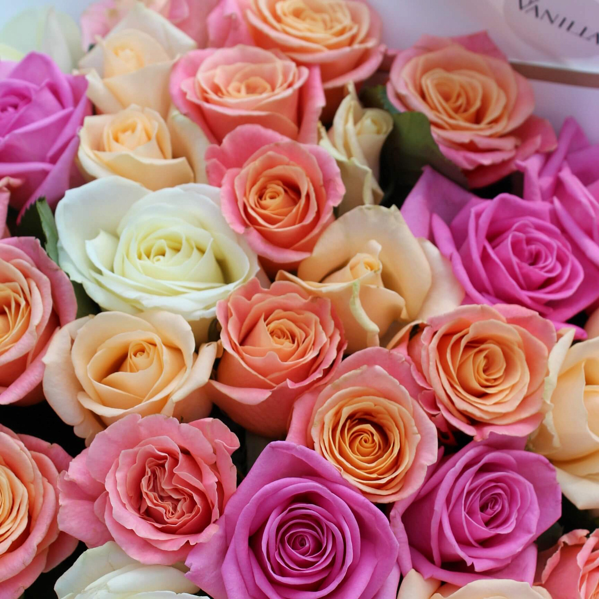 Яркий микс из 35 роз 50 см