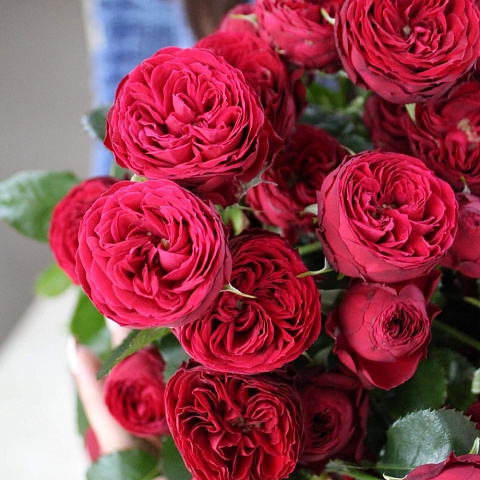 Букеты без упаковки  цветов с доставкой: Букет пионовидных роз "Марун"