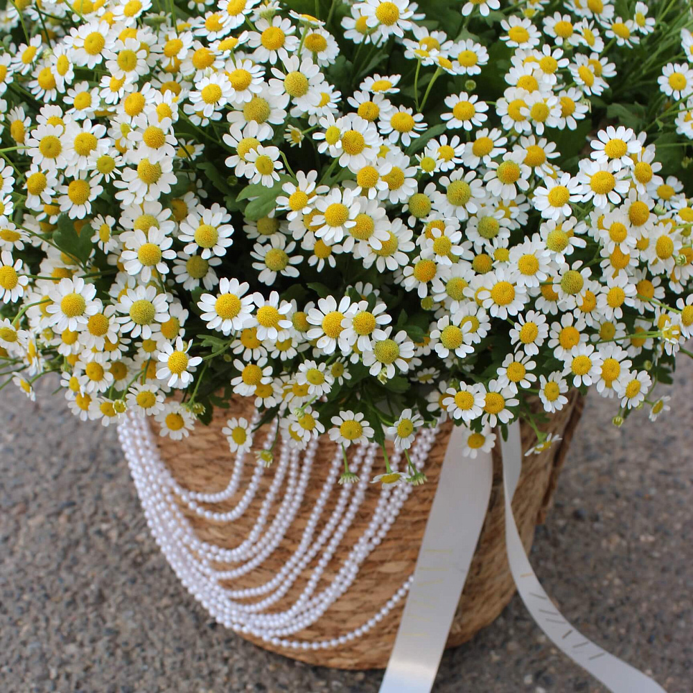 Ромашки микс в корзине
