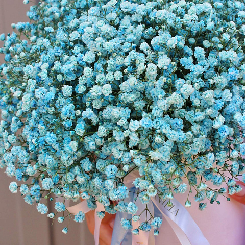 Букеты гипсофилов: Цилиндр голубой гипсофилы