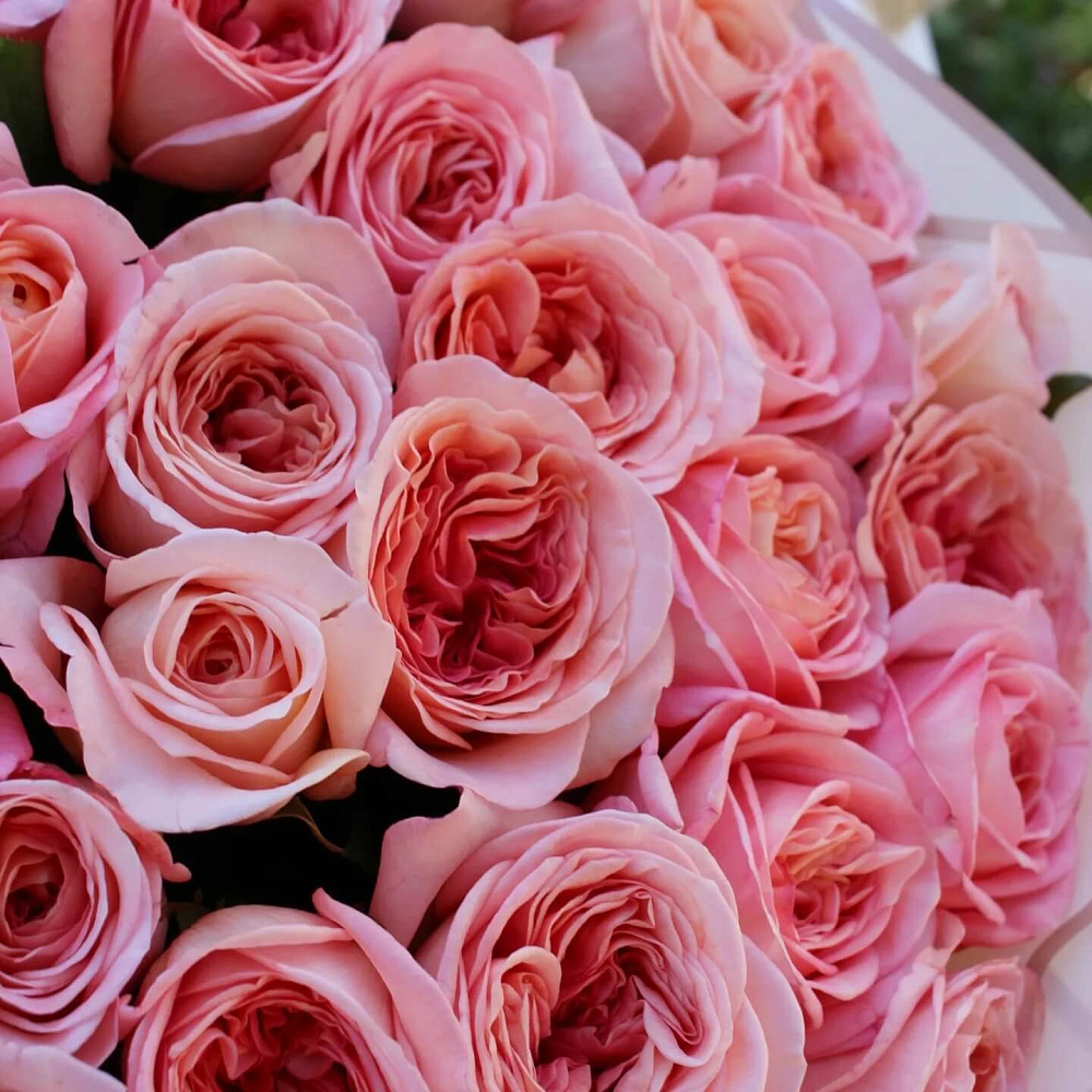 Букет из 51 пионовидной розы Лондон Ай