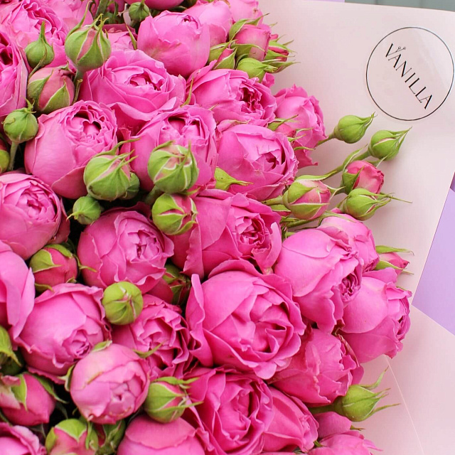 Пионовидные розы: Букет из 39 веток кустовой розы Мисти Бабблс