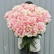 Букет из 25 роз Pink Mondial