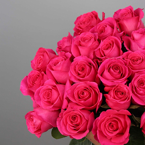 25 роз: Букет из 25 роз Pink Floyd