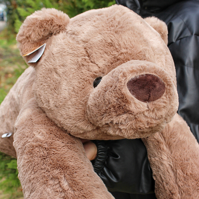 Мягкие игрушки: Коричневый мягкий мишка