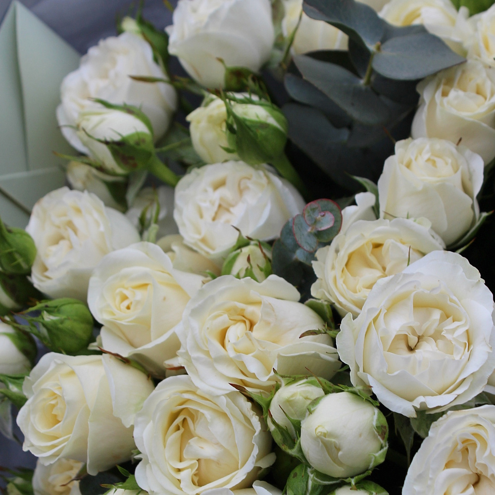 Букет из кустовой розы Беларусь