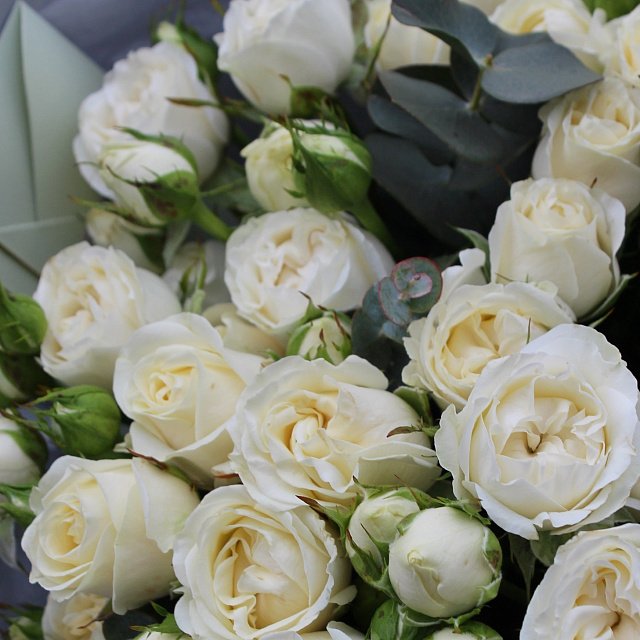 Букеты белых роз: Букет из кустовой розы Беларусь
