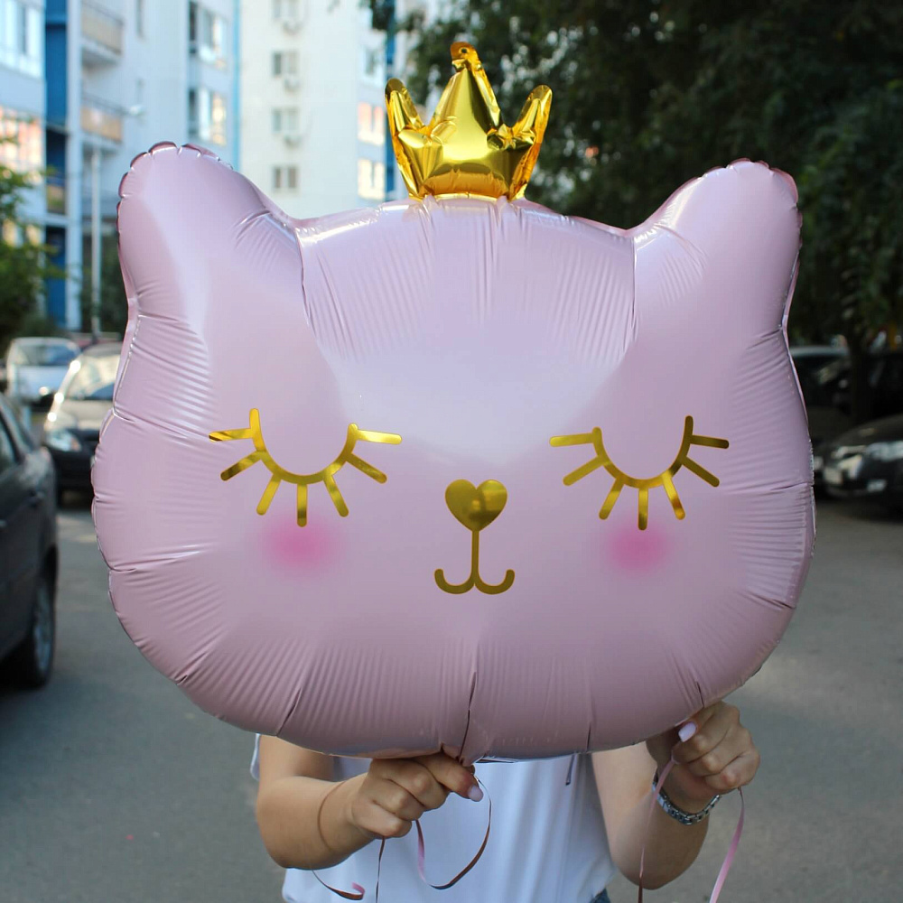 Шар милая кошечка